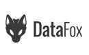 datafox-logo.jpg